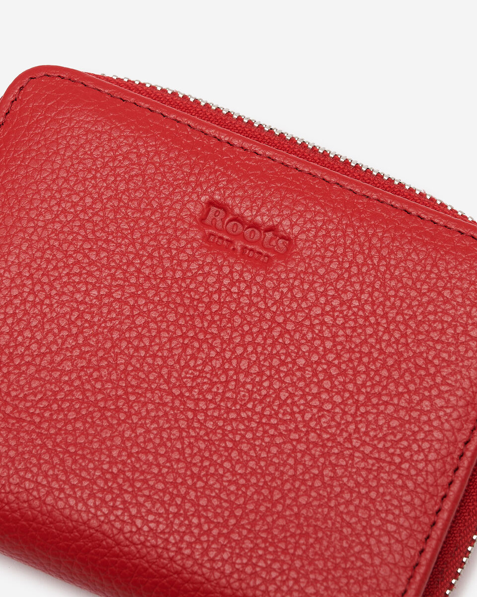 Small Zip Around Clutch Cervino