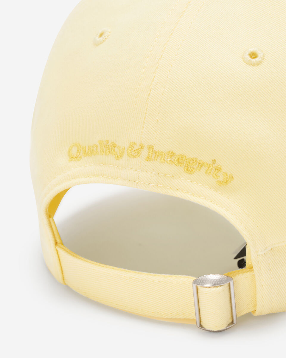 Roots Baseball Cap