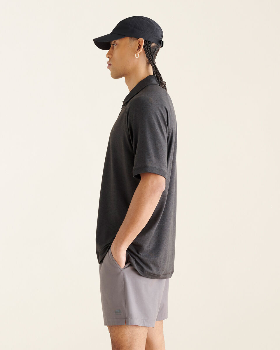 Polo Renew