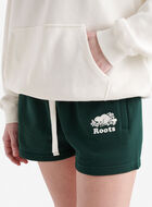 Organic Cooper Relaxed Half Zip Stein