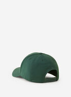 Modern Leaf Baseball Cap