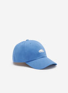 Everyday Cooper Beaver Cap