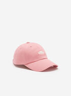 Everyday Cooper Beaver Cap