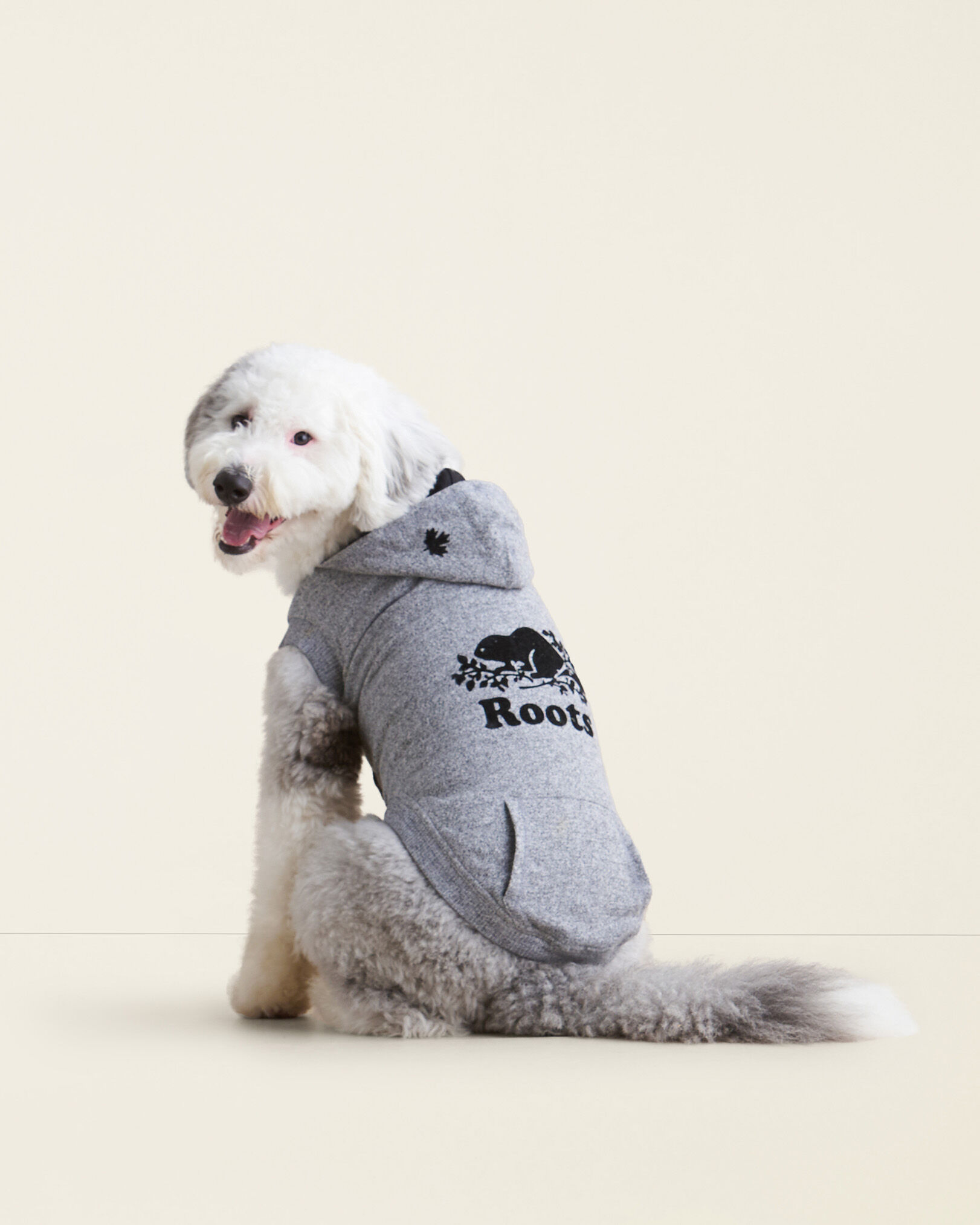 Roots canada shop dog sweater