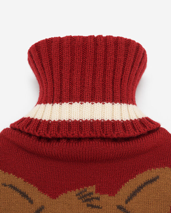 Winter Hot Water Bottle