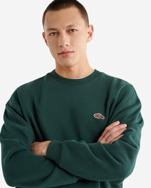 Chandail &agrave; col rond Castor