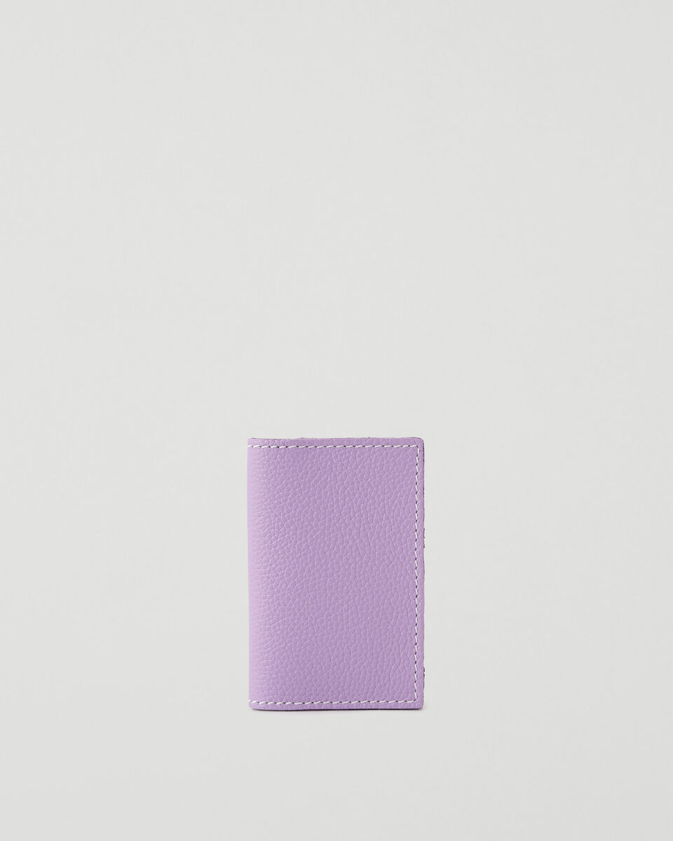 Upcycle Card Holder Cervino