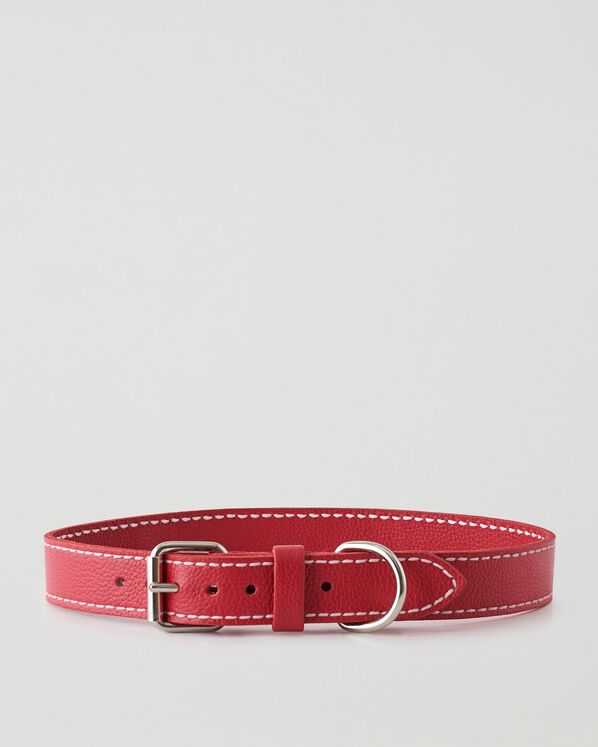 X-Large Dog Collar Cervino