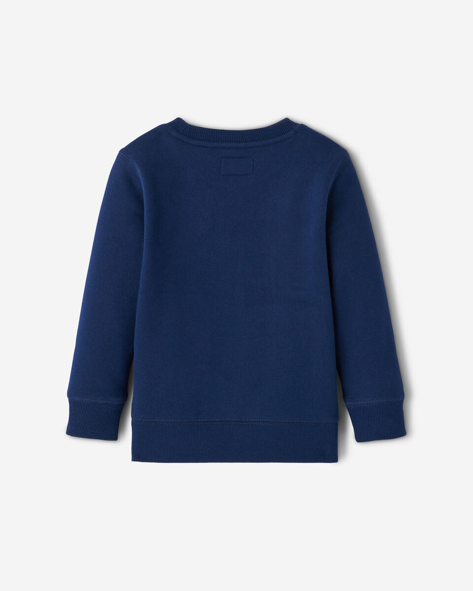 Toddler 1973 Athletics Sweatshirt