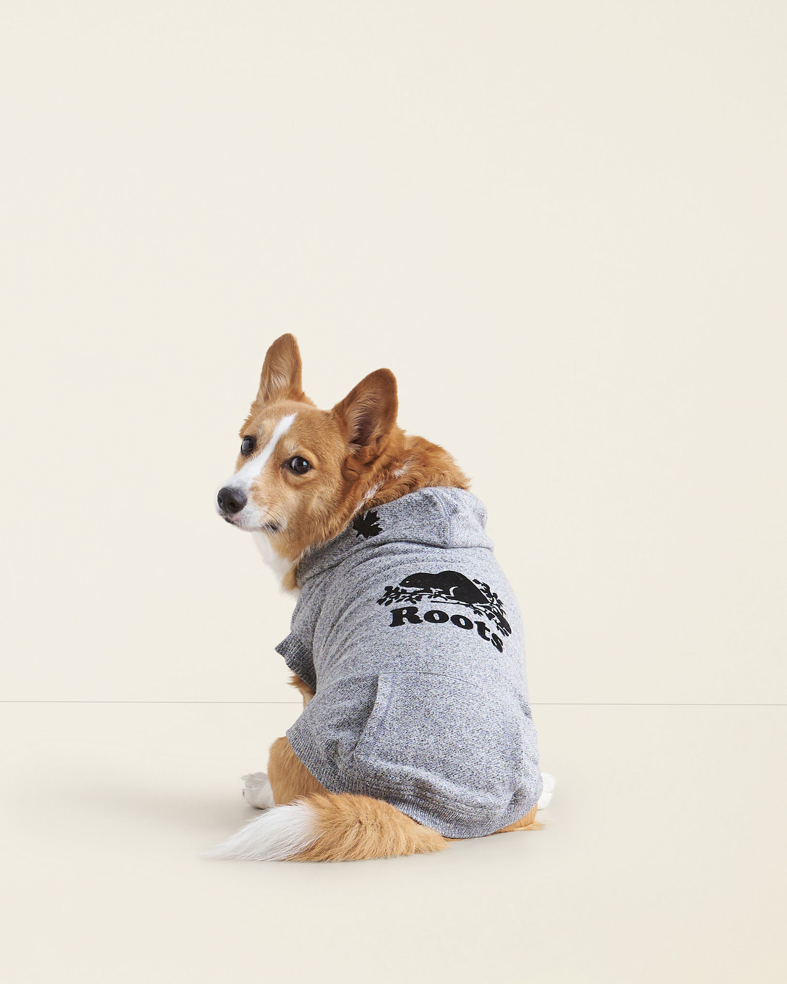 Roots dog on sale clothes