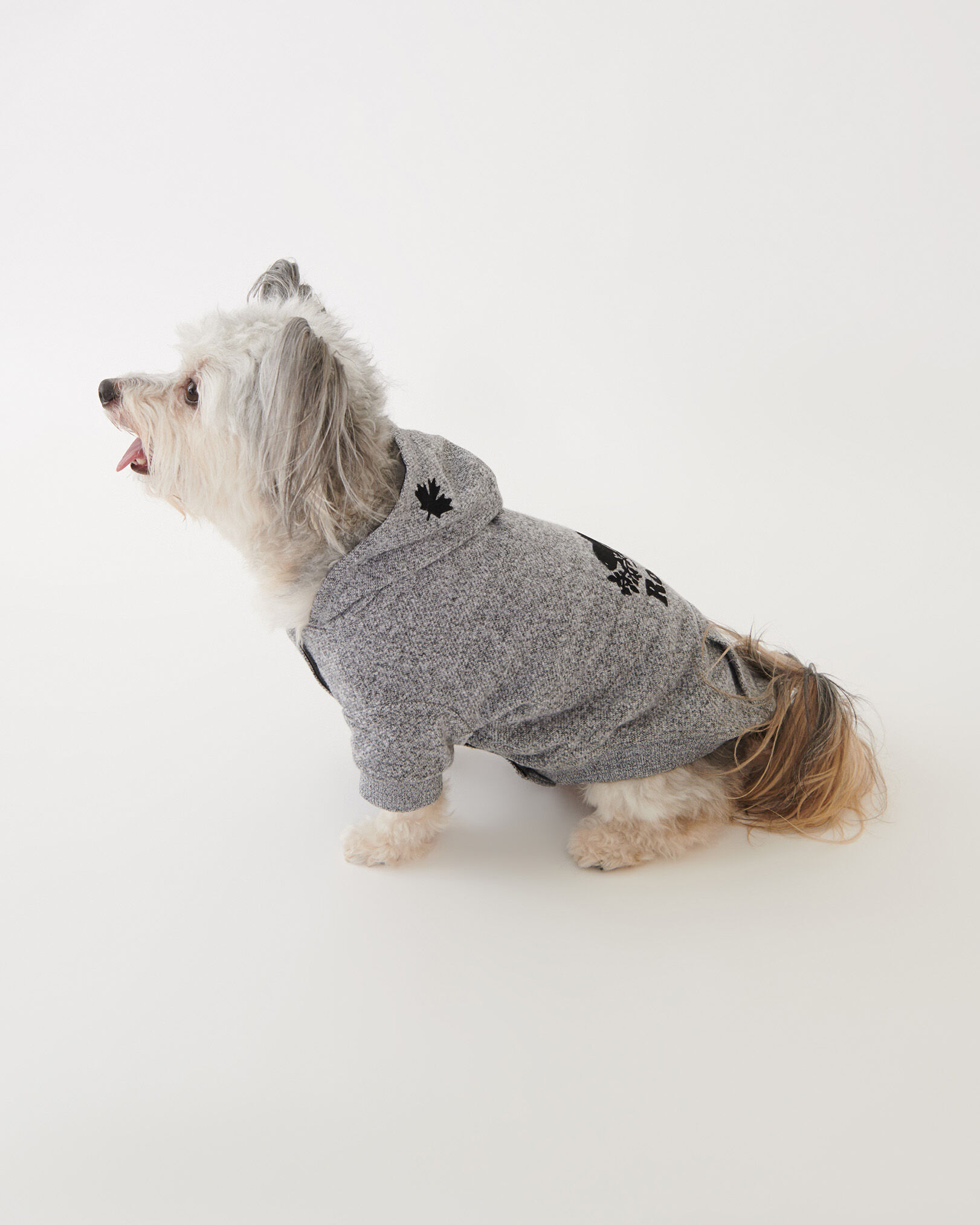 Pooch Original Kanga Size 24