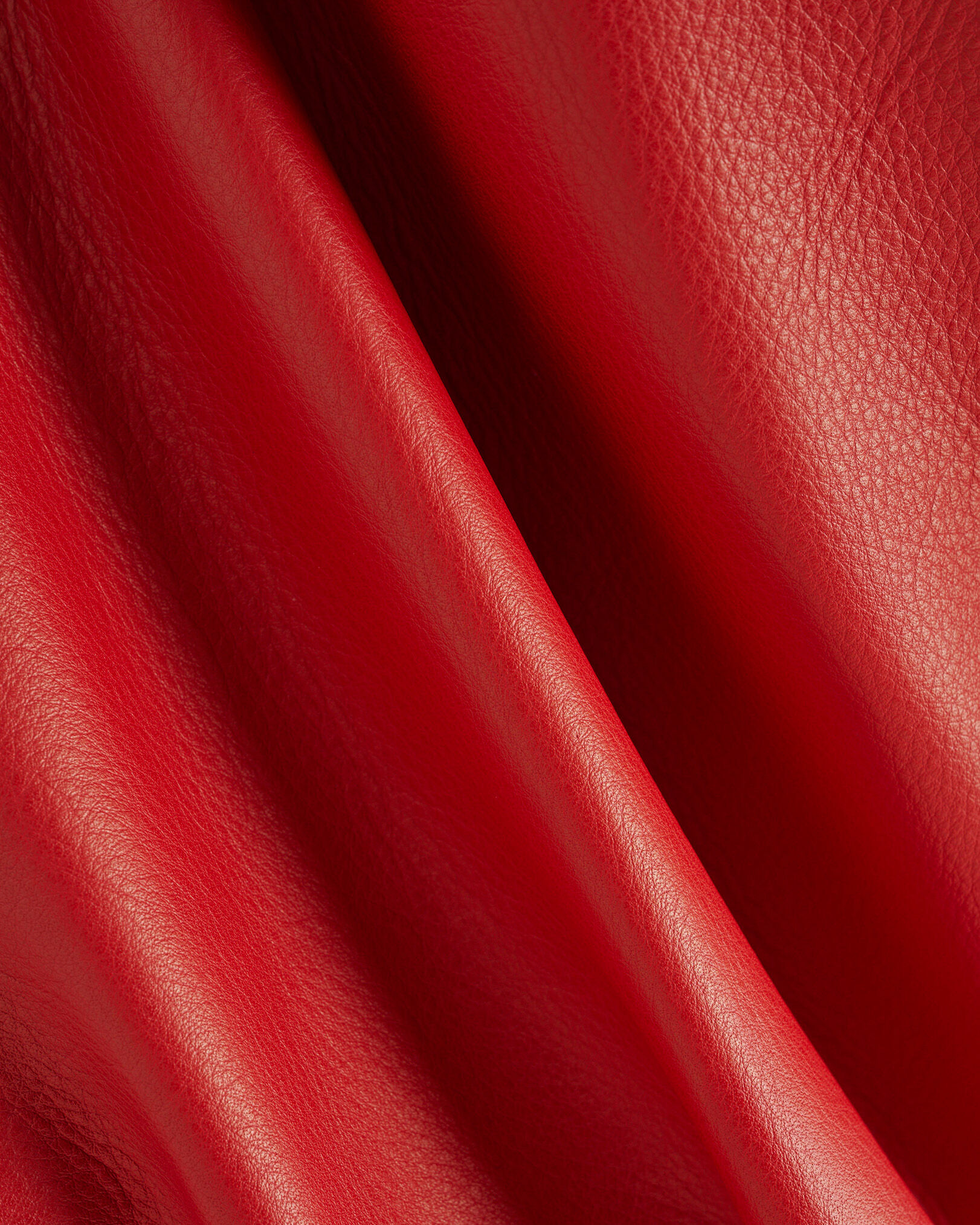 Alpine Goods Leather Jacket