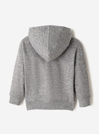 Toddler Northern Athletics Hoodie