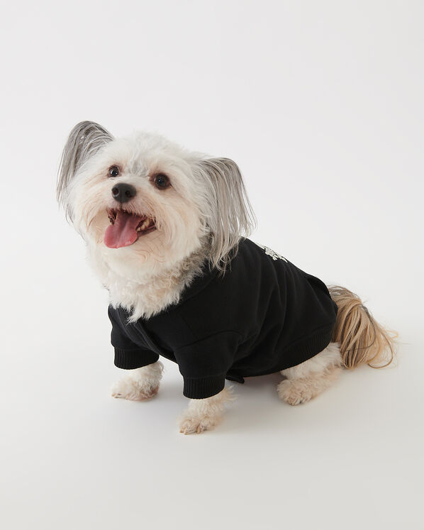 Veste kangourou originale Pooch