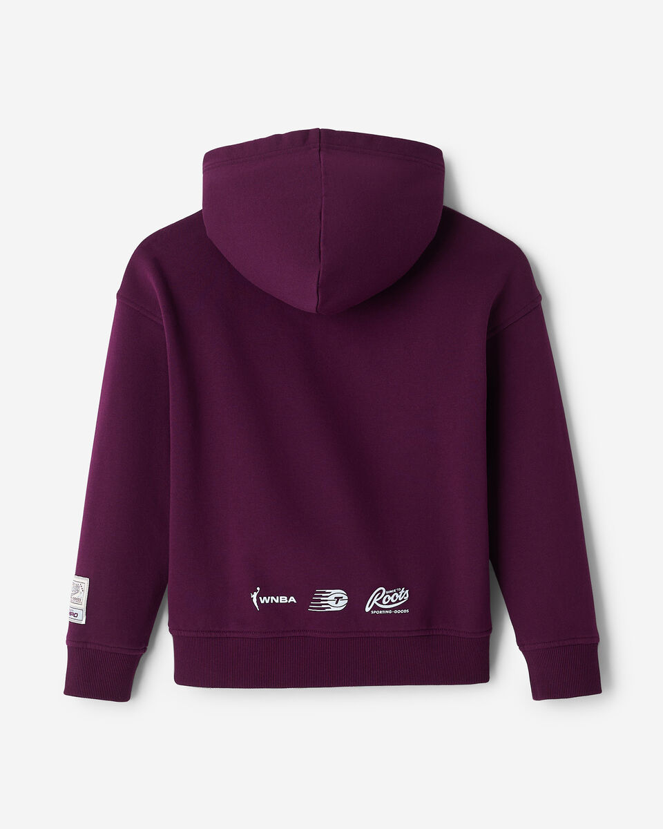 Kids Roots Toronto Tempo Hoodie