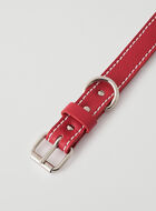 Medium Dog Collar Cervino