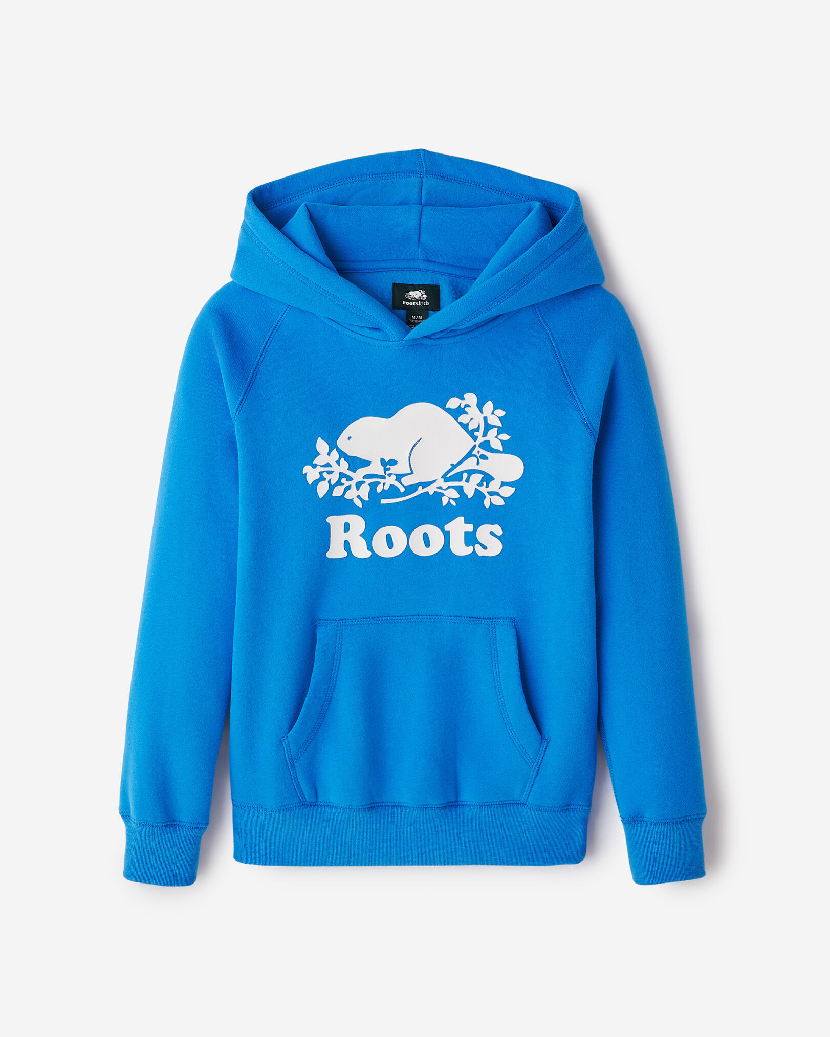 Blue roots sweater hot sale