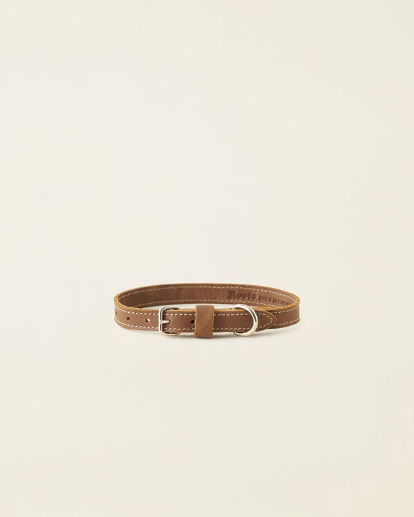 Small Leather Dog Collar