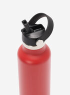 Roots Water Bottle