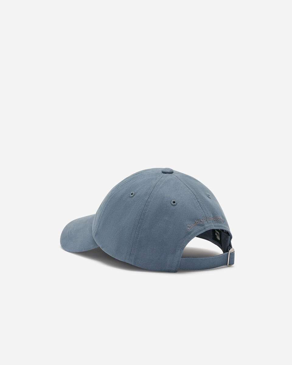 Roots Baseball Cap