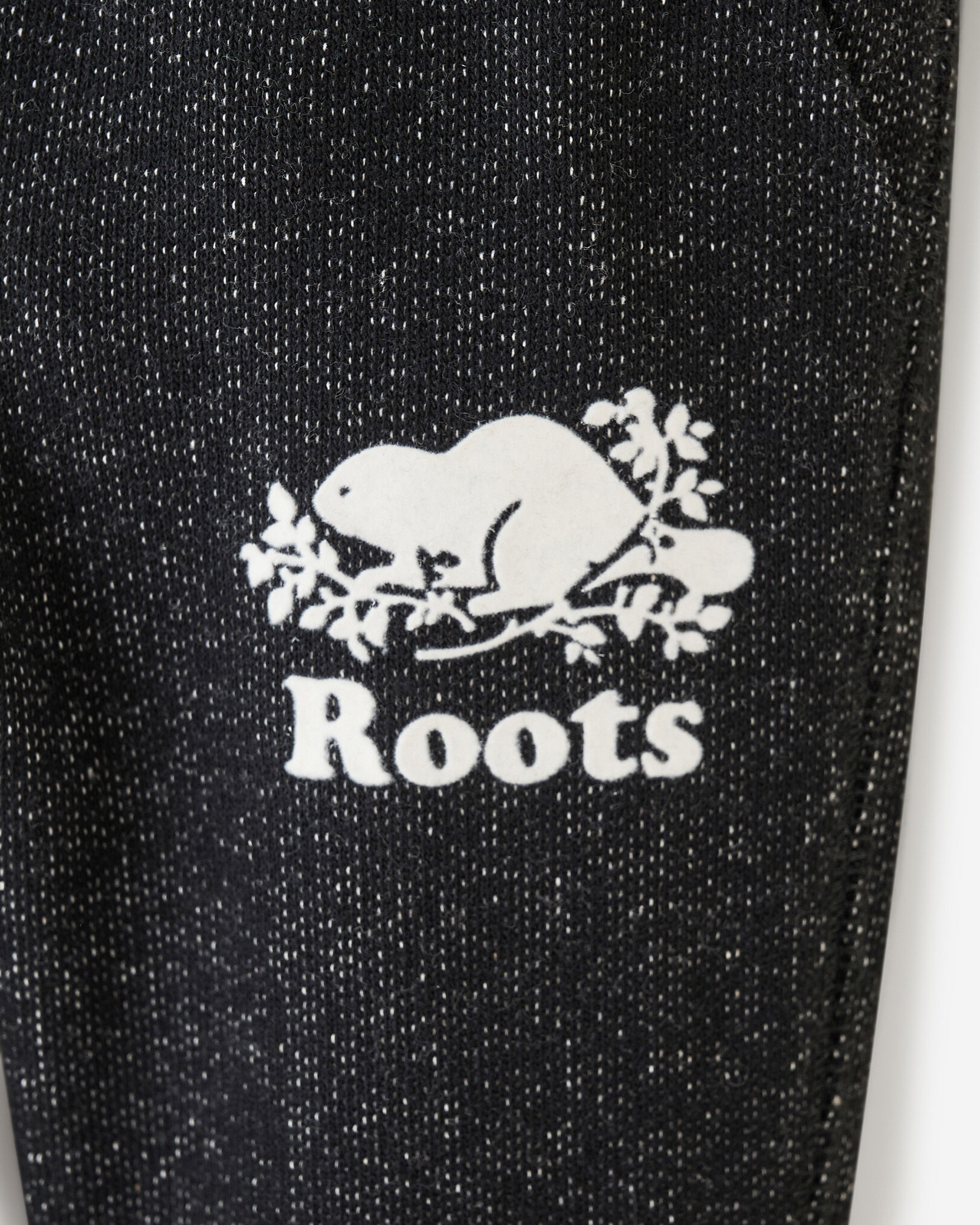 Roots park discount slim sweatpant