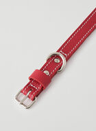 Small Dog Collar Cervino