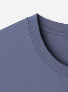 Mens Roots Lakeview T-Shirt