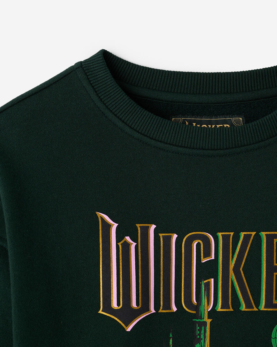 Kids Roots X Wicked Crew Sweatshirt