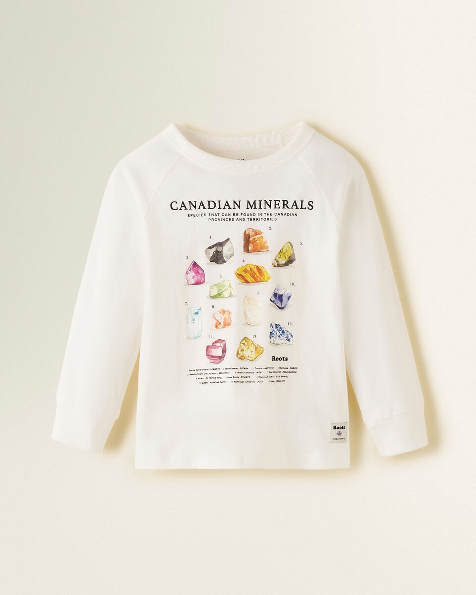 Toddler Mineral Raglan T-Shirt
