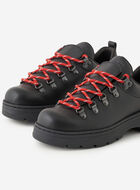 Nordic Shoe