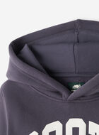 Kids Roots Arch Hoodie