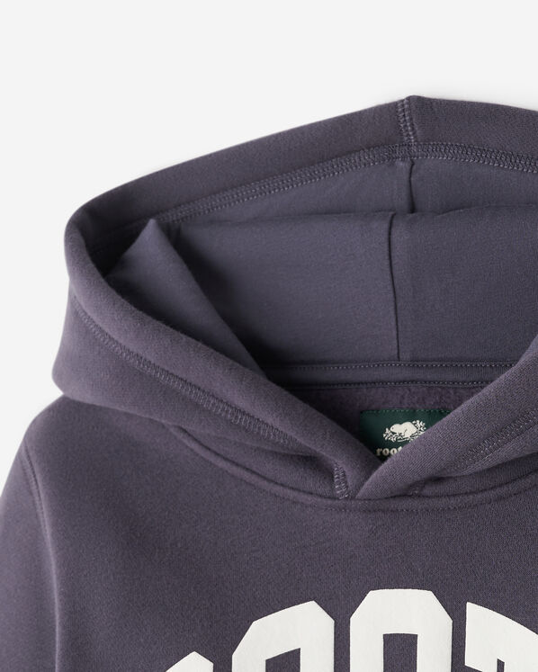 Kids Roots Arch Hoodie