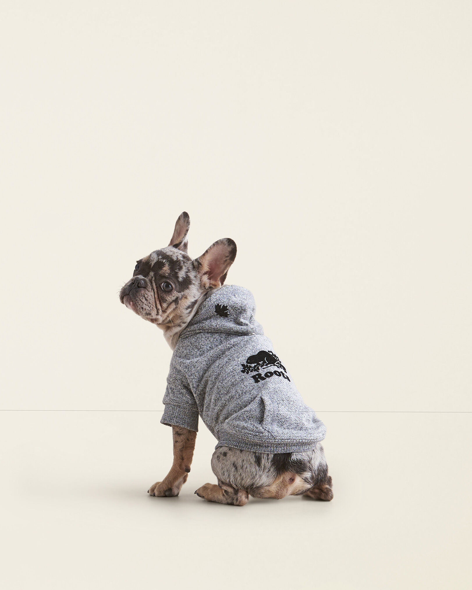 French bulldog accessories canada shop