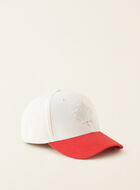 Modern Leaf Baseball Cap