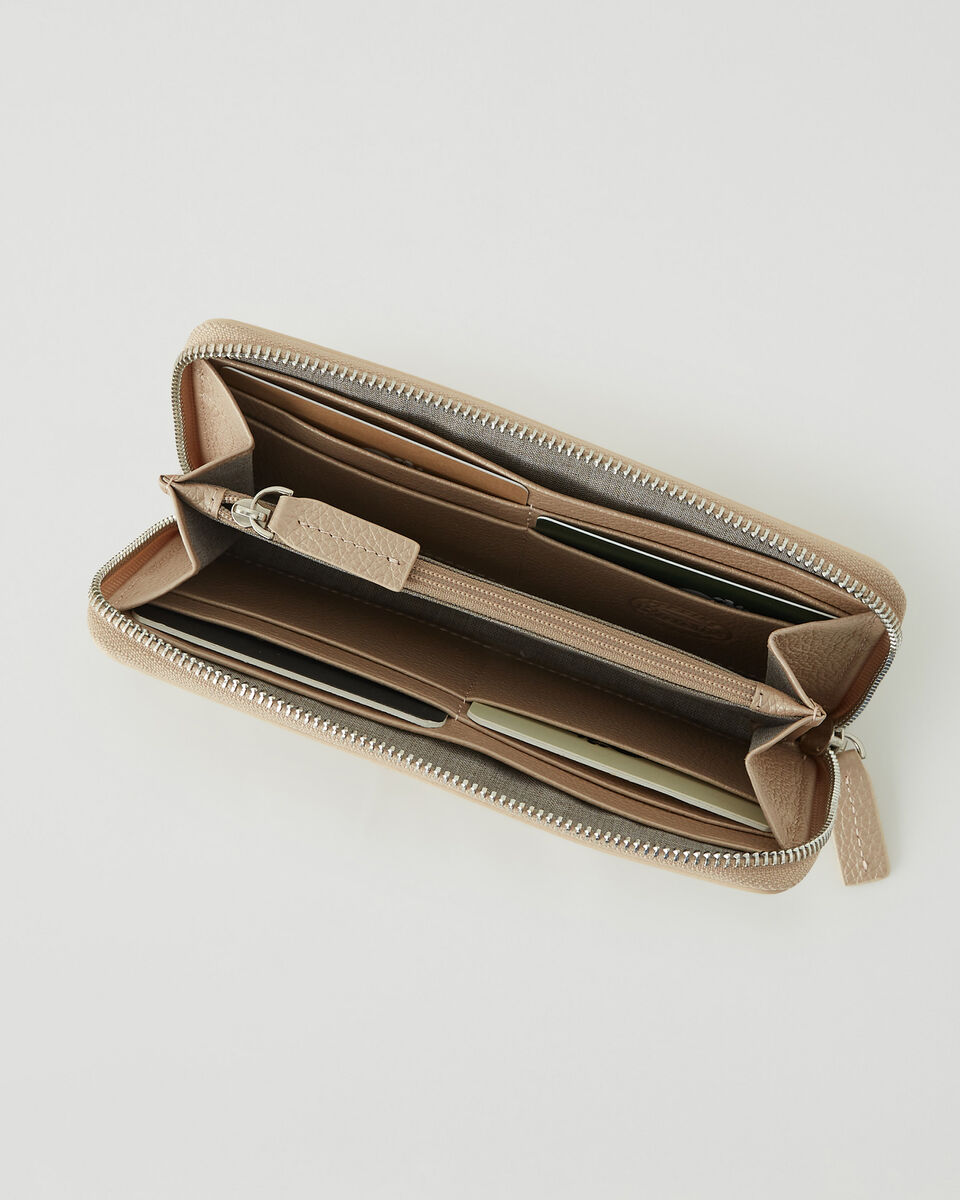 Zip Around Clutch Metallic