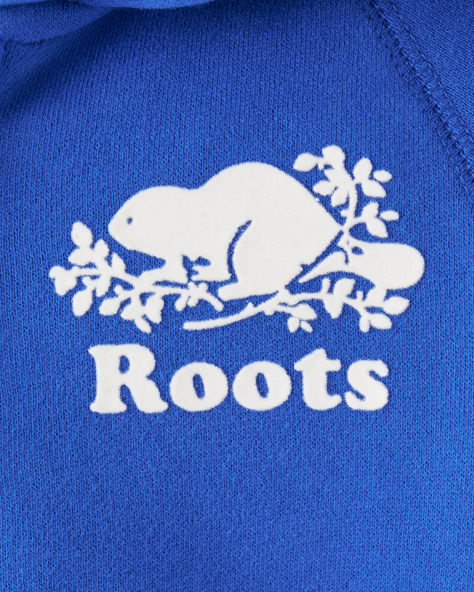 Blue roots hoodie new arrivals