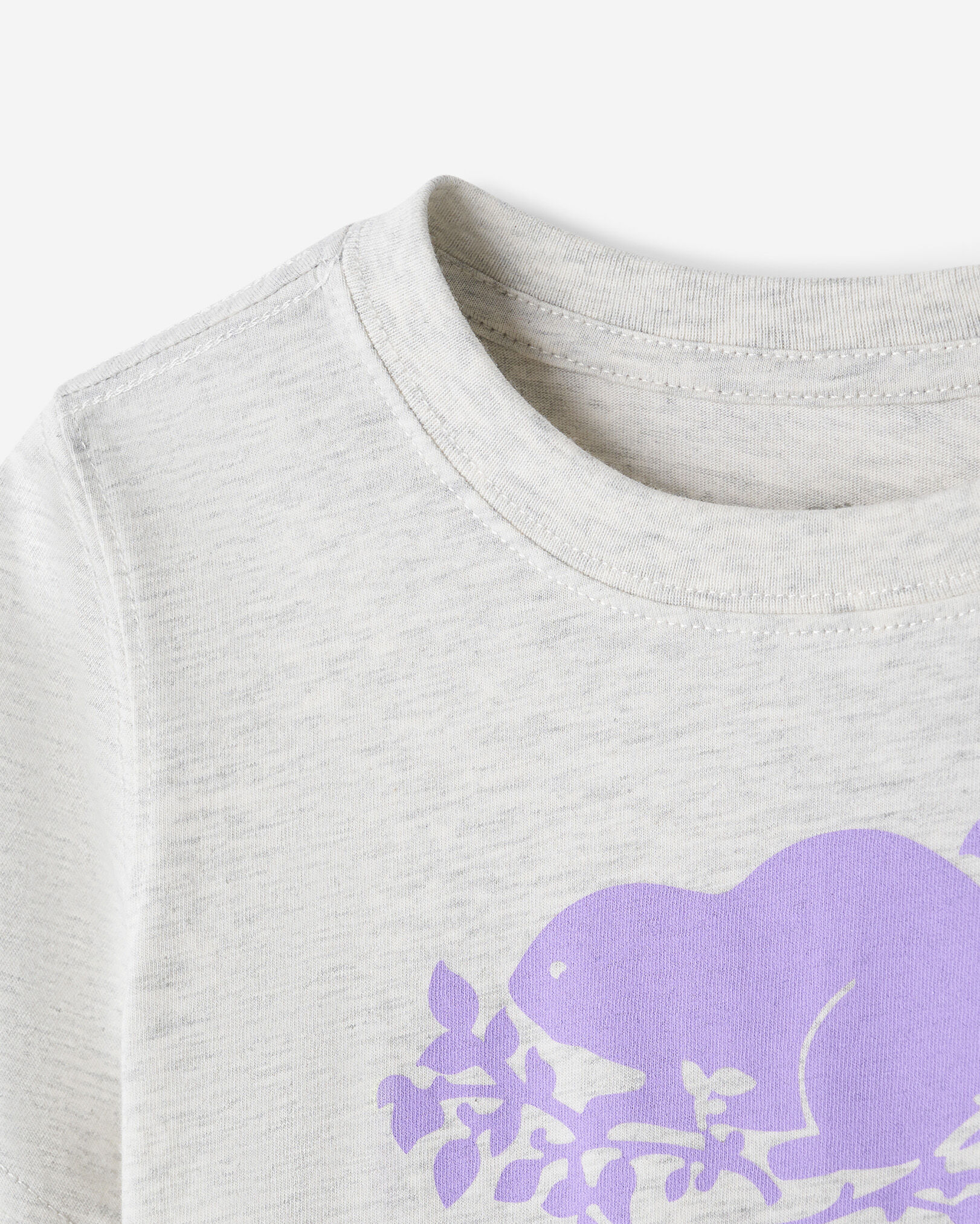 Toddler Organic Cooper Short Sleeve T-Shirt
