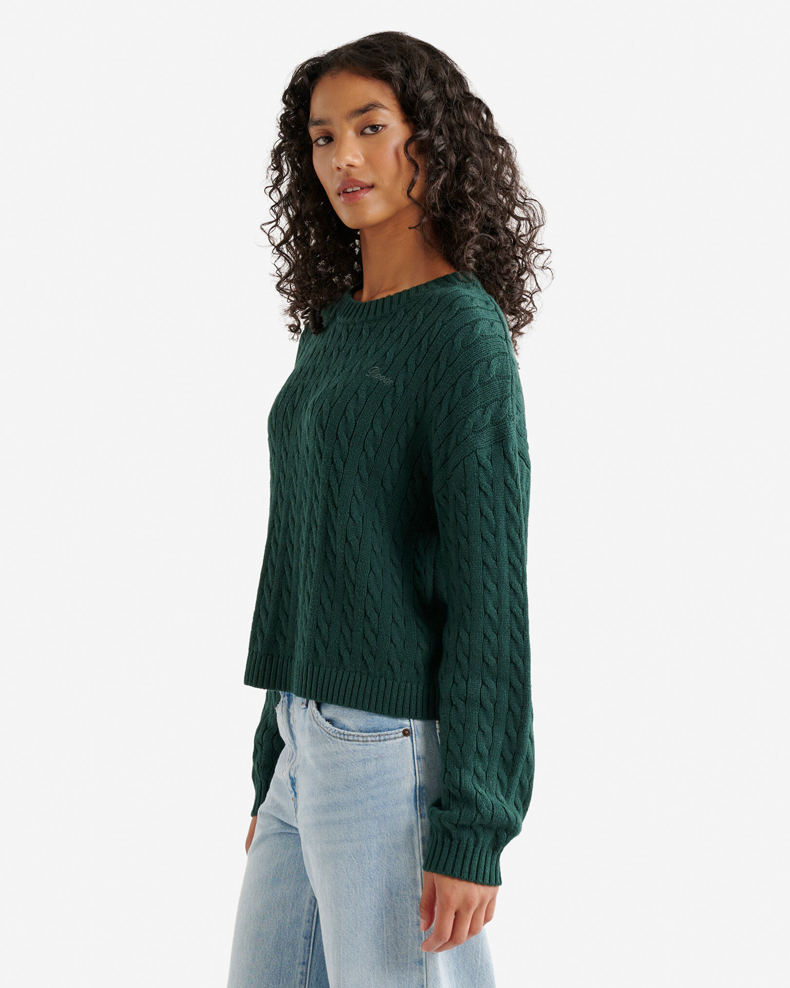 Roots Cable Crew Sweater