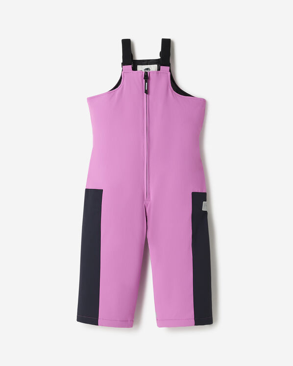 Toddler Roots Snow Bib Pant