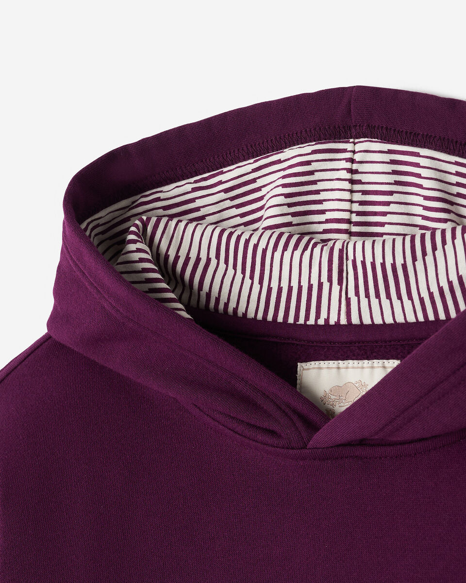 Kids Roots Toronto Tempo Hoodie