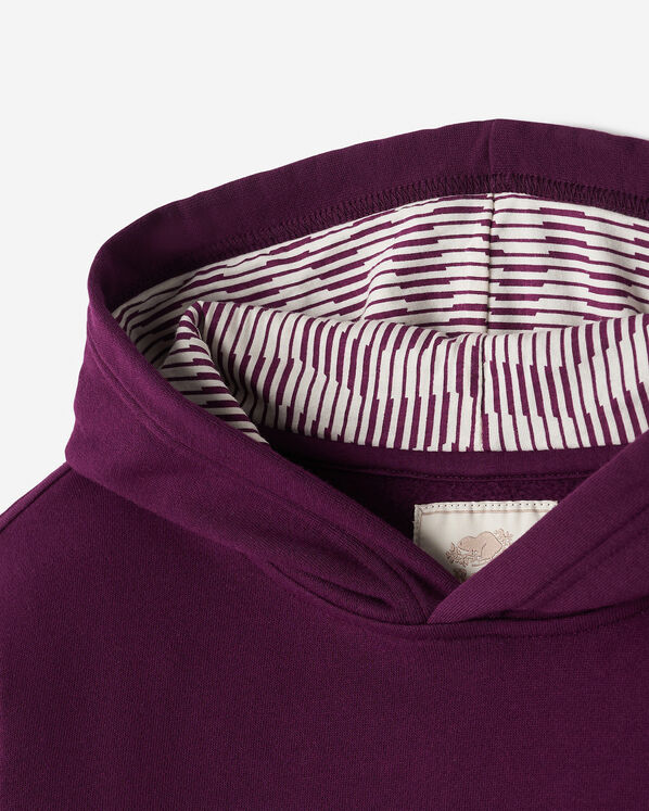 Kids Roots Toronto Tempo Hoodie