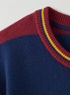 Henley Sweater