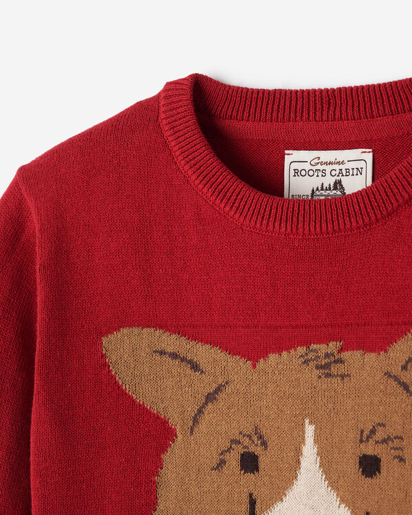 Kids Cabin Dog Sweater