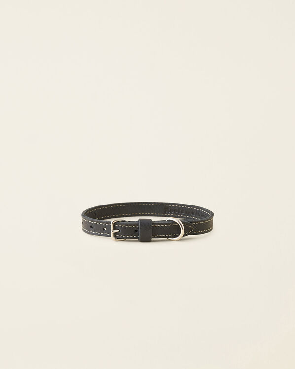 Small Leather Dog Collar