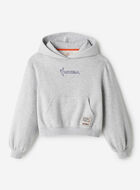 Roots WNBA Hoodie