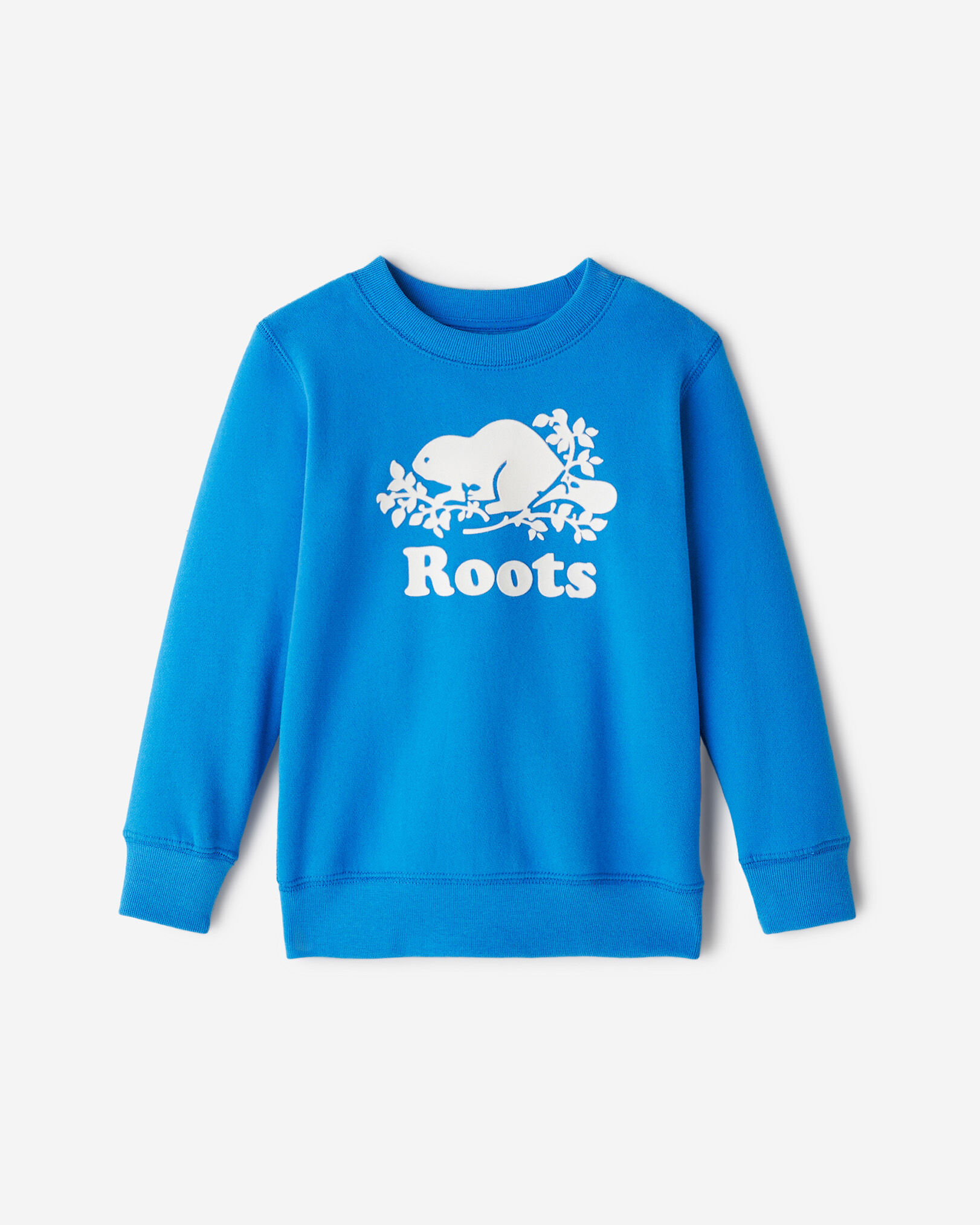 Blue roots sweater hot sale