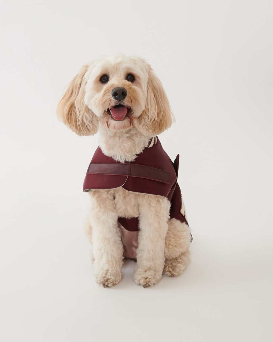 MS Dog Varsity Jacket Nylon Leather Accessories Roots