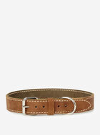 Extra Large Leather Dog Collar
