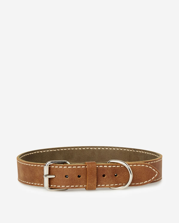 Extra Large Leather Dog Collar