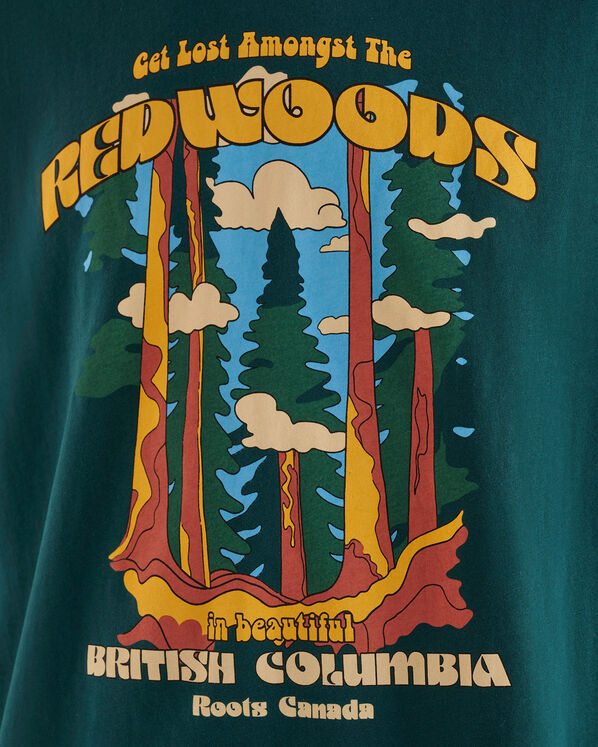 Mens Nature Vistas Relaxed T-Shirt